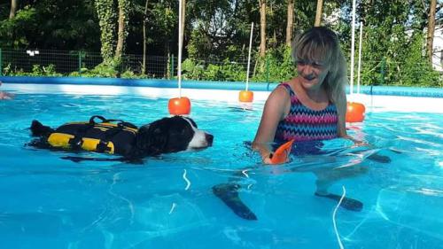 FB_IMG_1628361321807