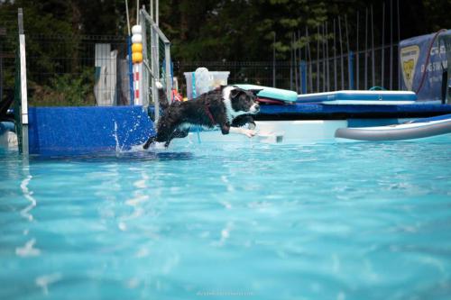 IMG-20220725-WA0017